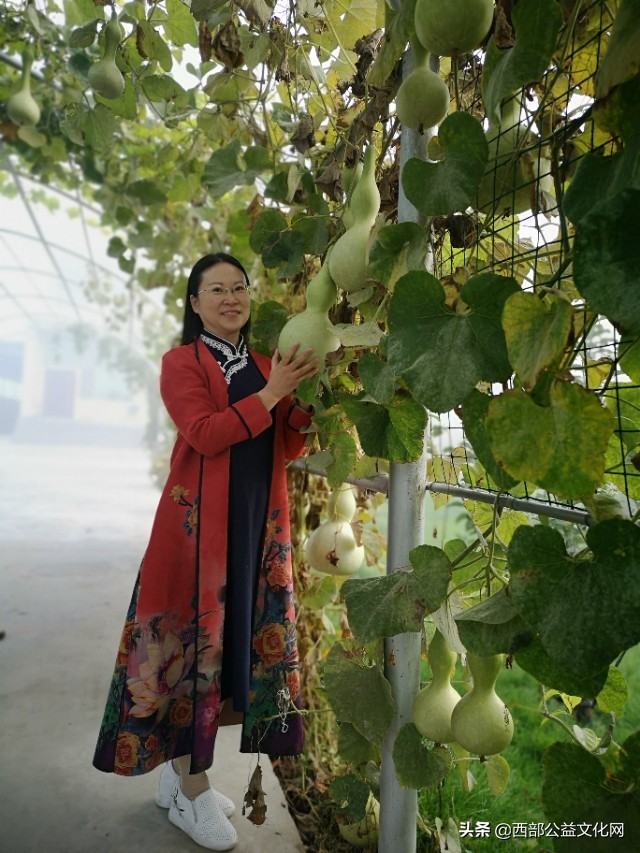 金苹果，是河西走廊一颗璀璨的明珠