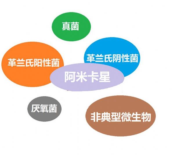 看图“话”抗菌谱，赶紧收藏