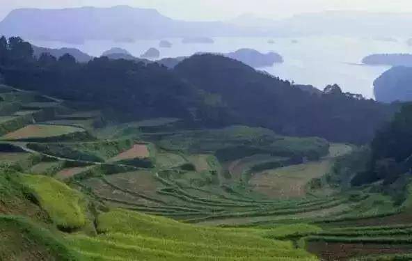 惠州天下第一泉温泉酒店,藏在惠州山林里的隐奢温泉酒店