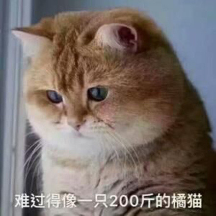 母胎solo19年什么时候可以脱单,母胎solo女怎么能快速脱单