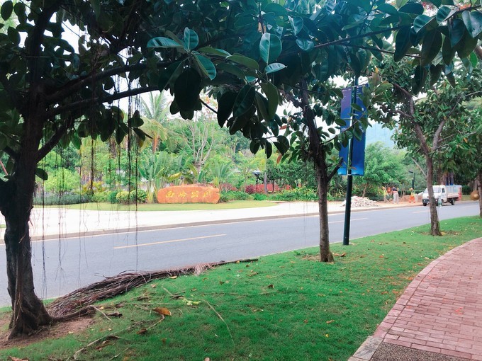 海南冲浪旅游攻略,海南万宁日月湾冲浪攻略