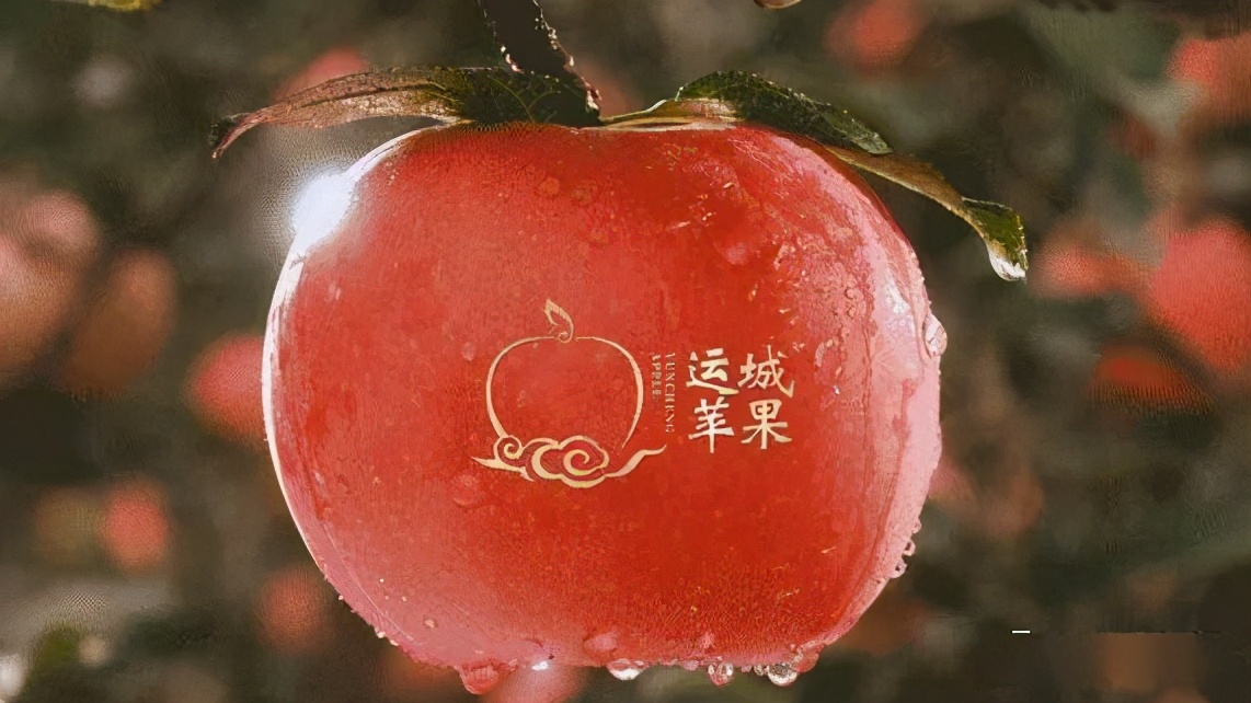 苹果正红景正美！在最甜的时候看最美的运城！