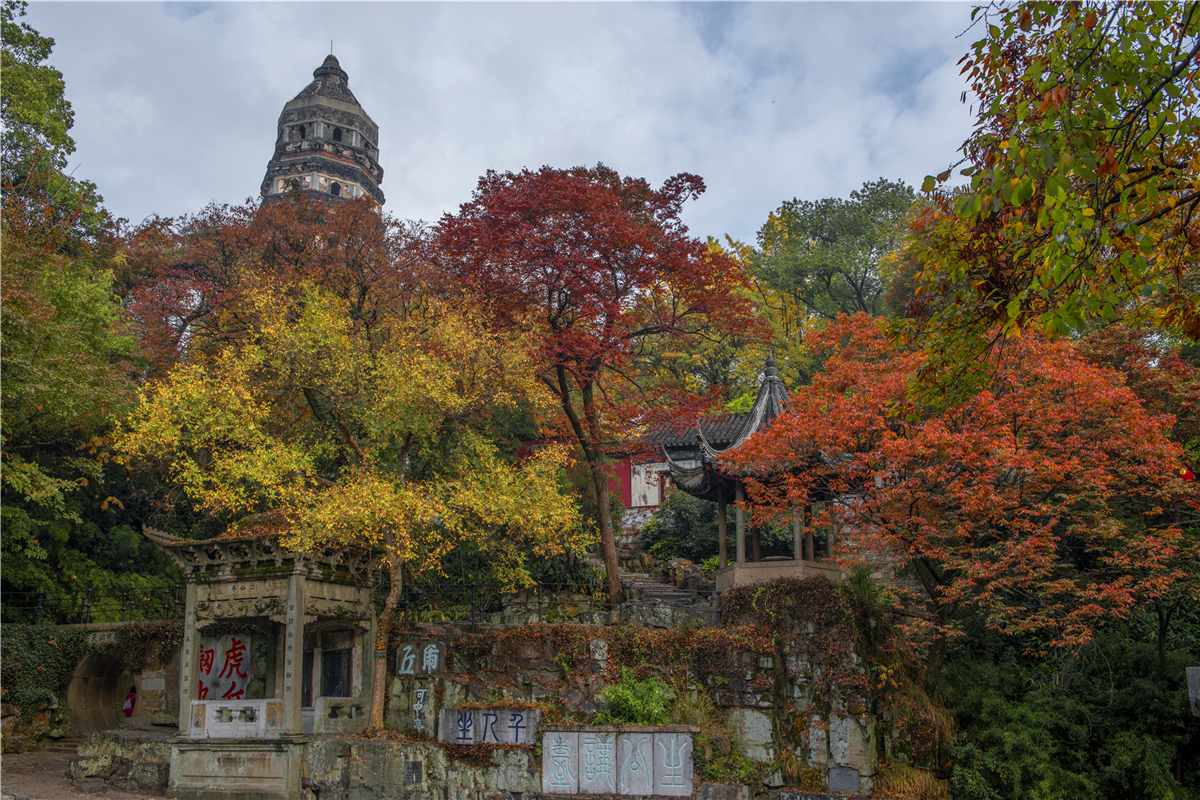 秋天苏州游玩,苏州旅游攻略秋天