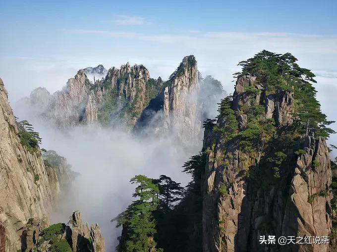 迎客松雪中美景,迎客松下