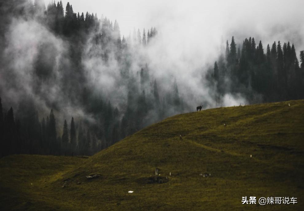 长安uni-kidd试驾视频,2024款长安unik最新测评