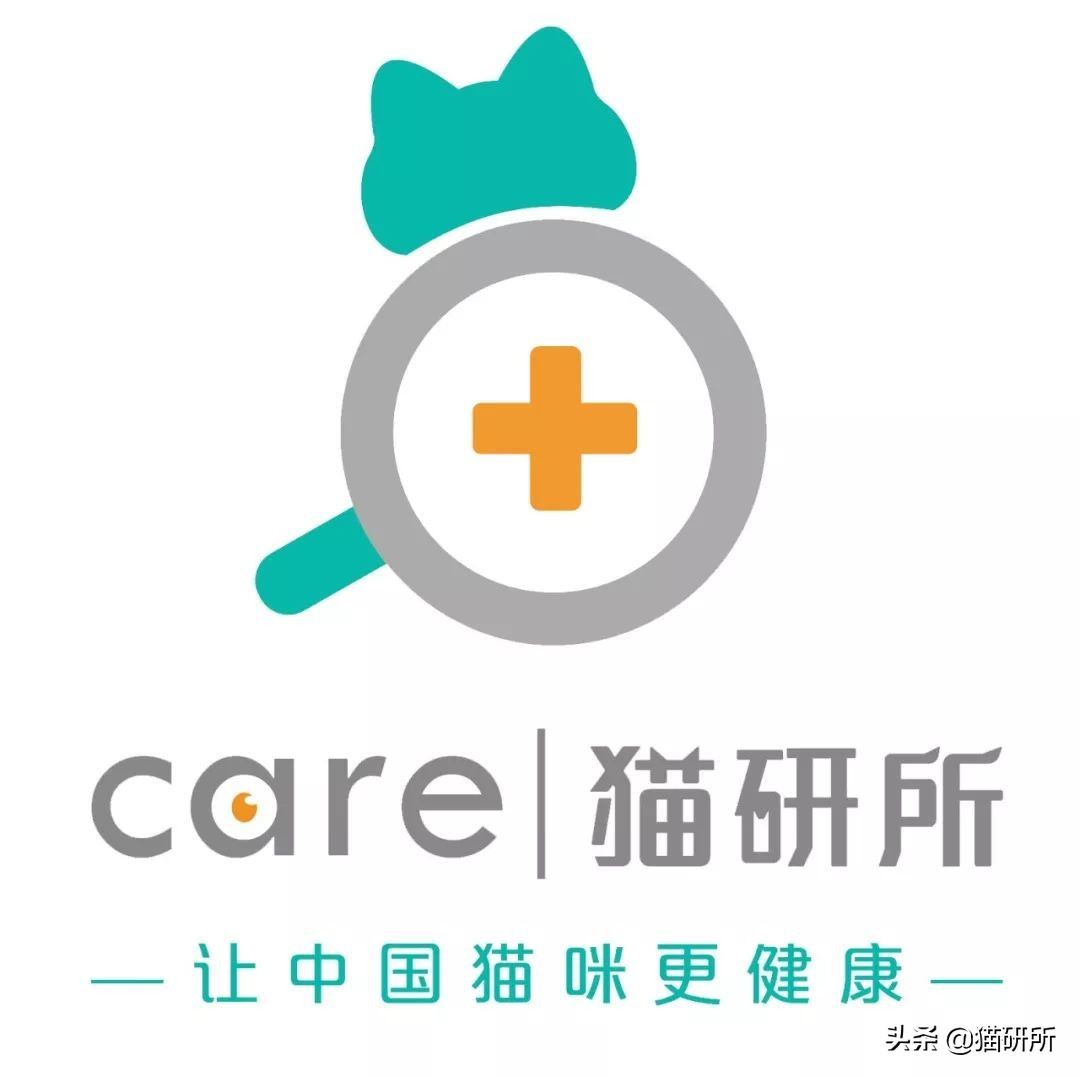 猫咪项圈对猫咪有危害吗,猫项圈给猫咪带来的危害