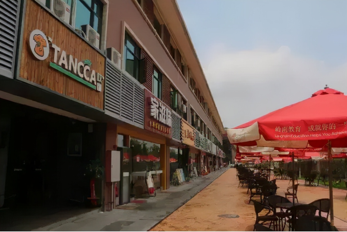 广东岭南工作技术学院上本科的人,广东岭南工作学院读成人大专好吗