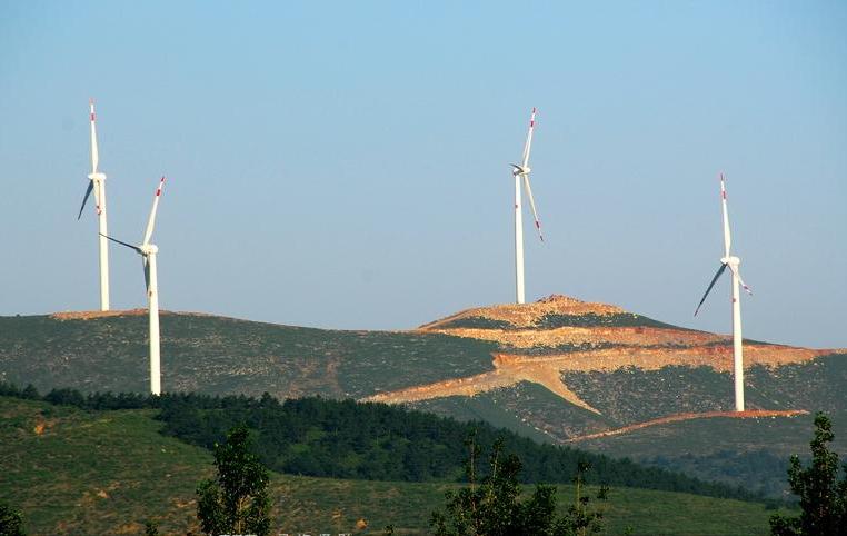 莱芜钢铁老板是谁,35岁卖钢材的个体户想转行