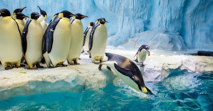 珠海高铁站到长隆海洋王国,珠海长隆海洋王国海底世界