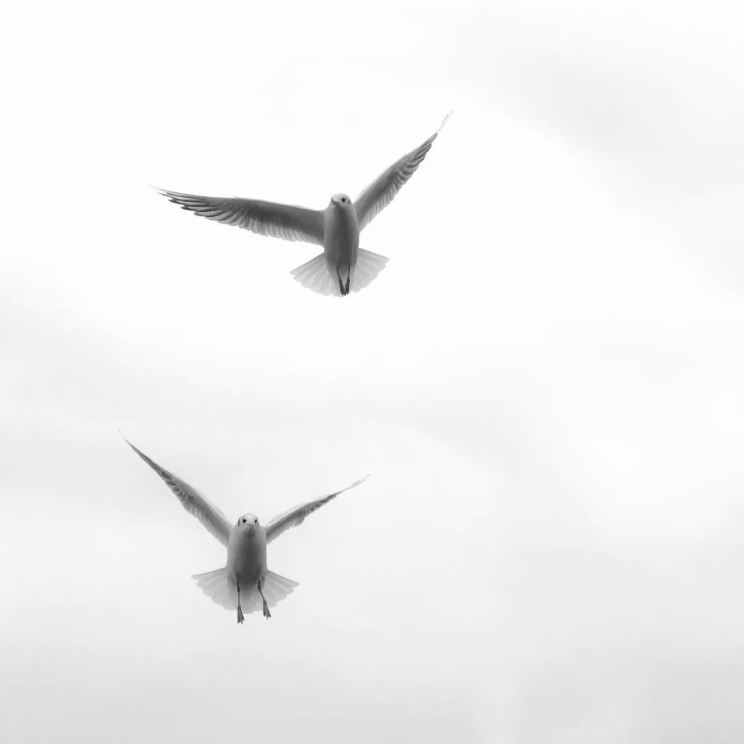 iphone手机拍照操作指南,iphone手机拍照技巧教程