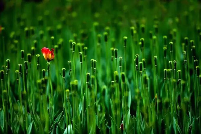 我的交友宣言怎么说,我的交友宣言小朋友