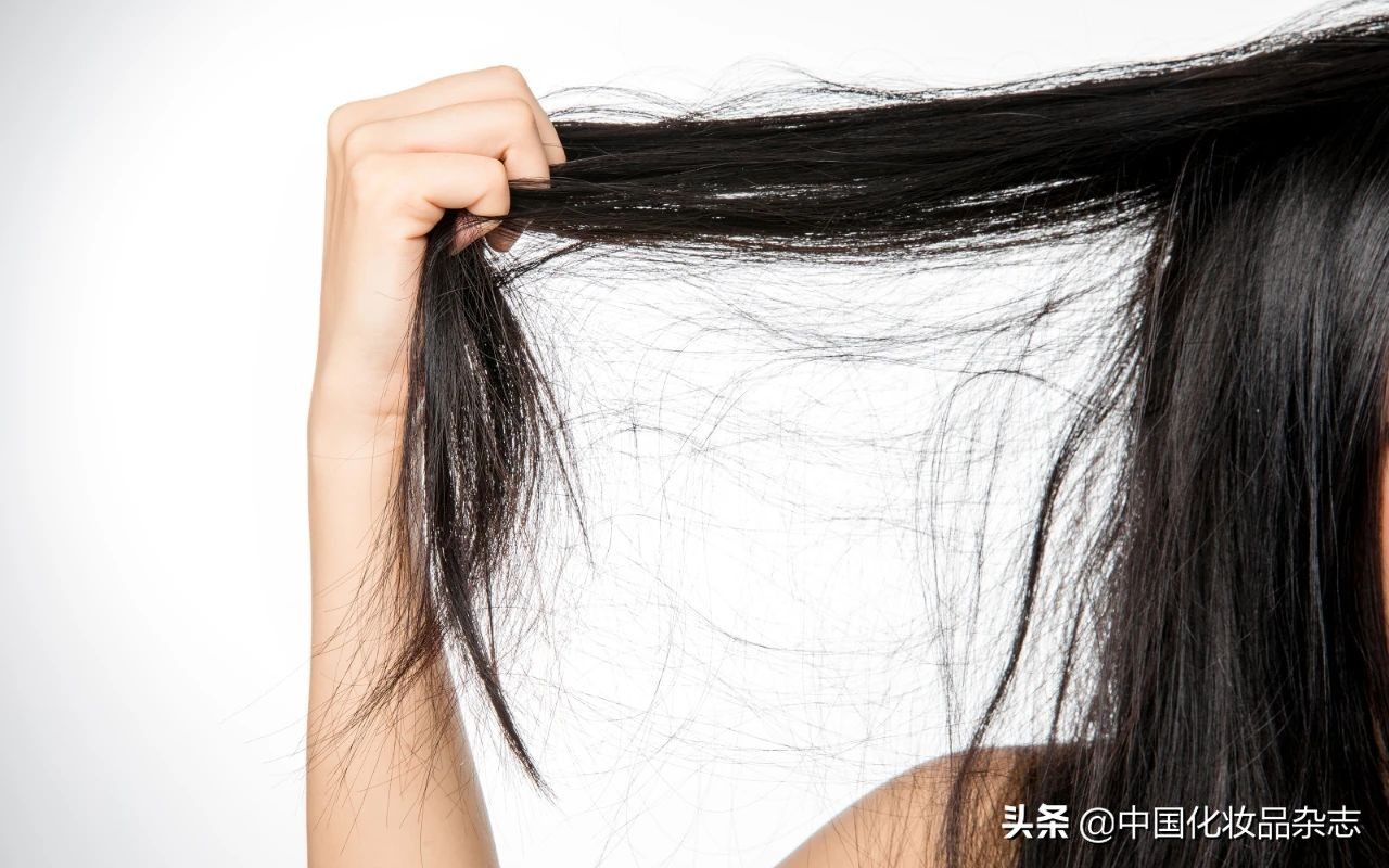 炒概念股还是炒行业板块好,炒概念股需要注意什么