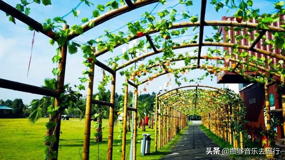 开挂了这座人口仅30万的小城，却连续5年上榜“四川省十强县”