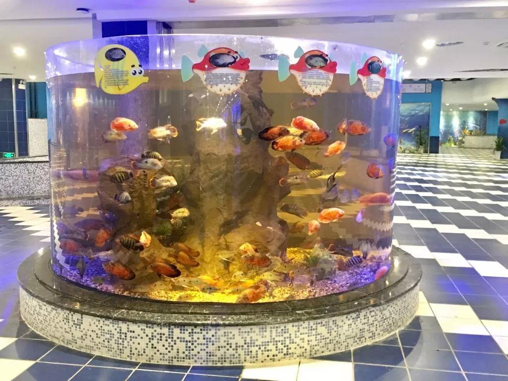 长沙洋沙湖湿地公园,湘阴洋沙湖五一活动