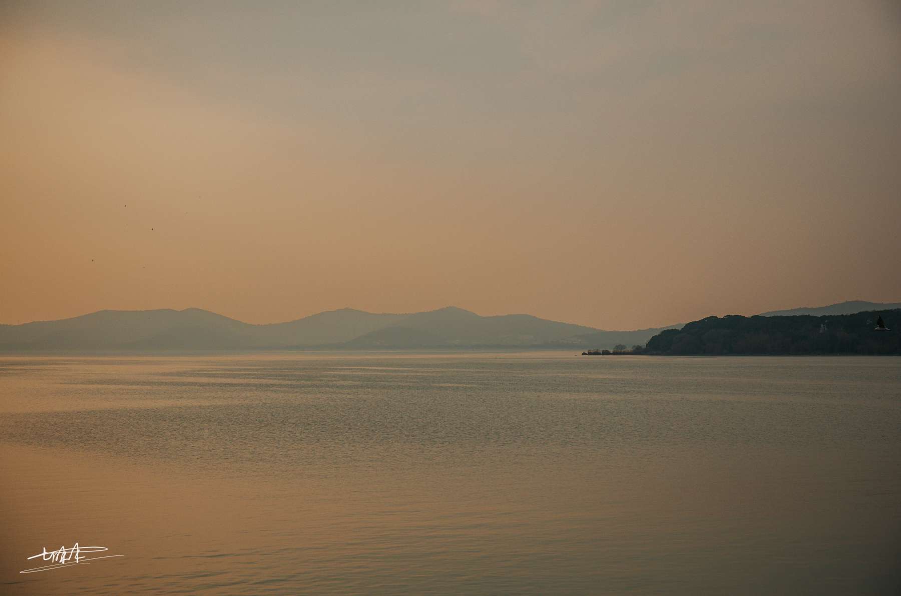 江南最大山水园林，独占太湖风景最美一角，堪称“无锡第一胜景”