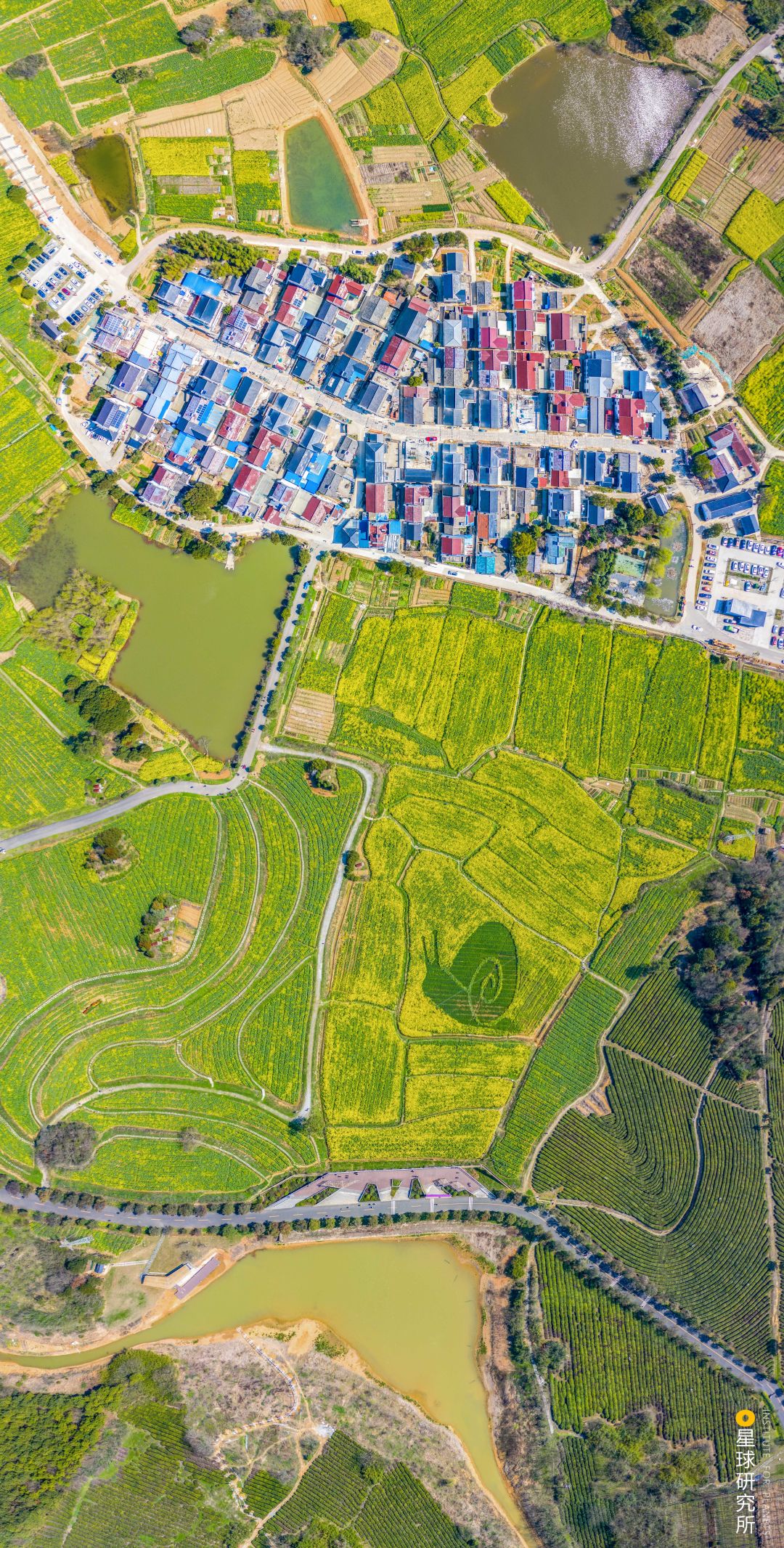 南京高淳区哪个地方好,南京高淳值得去的风景区免费