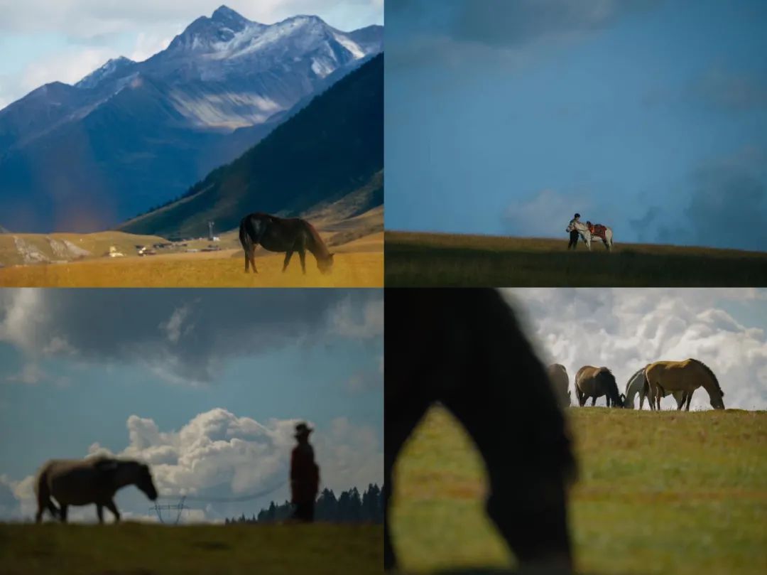 甘孜道孚旅游攻略一日游价格,去甘孜攻略