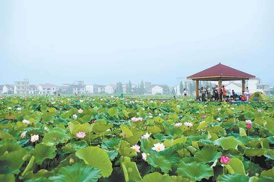 江西省萍乡旅游景点大全地图,萍乡市莲花茶马古道旅游景区