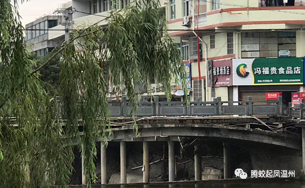 腾蛟镇发展,腾蛟凤巢社区