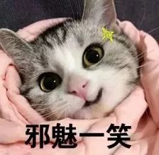 深圳适合自己一个人吃的火锅,深圳好吃的自助餐厅推荐