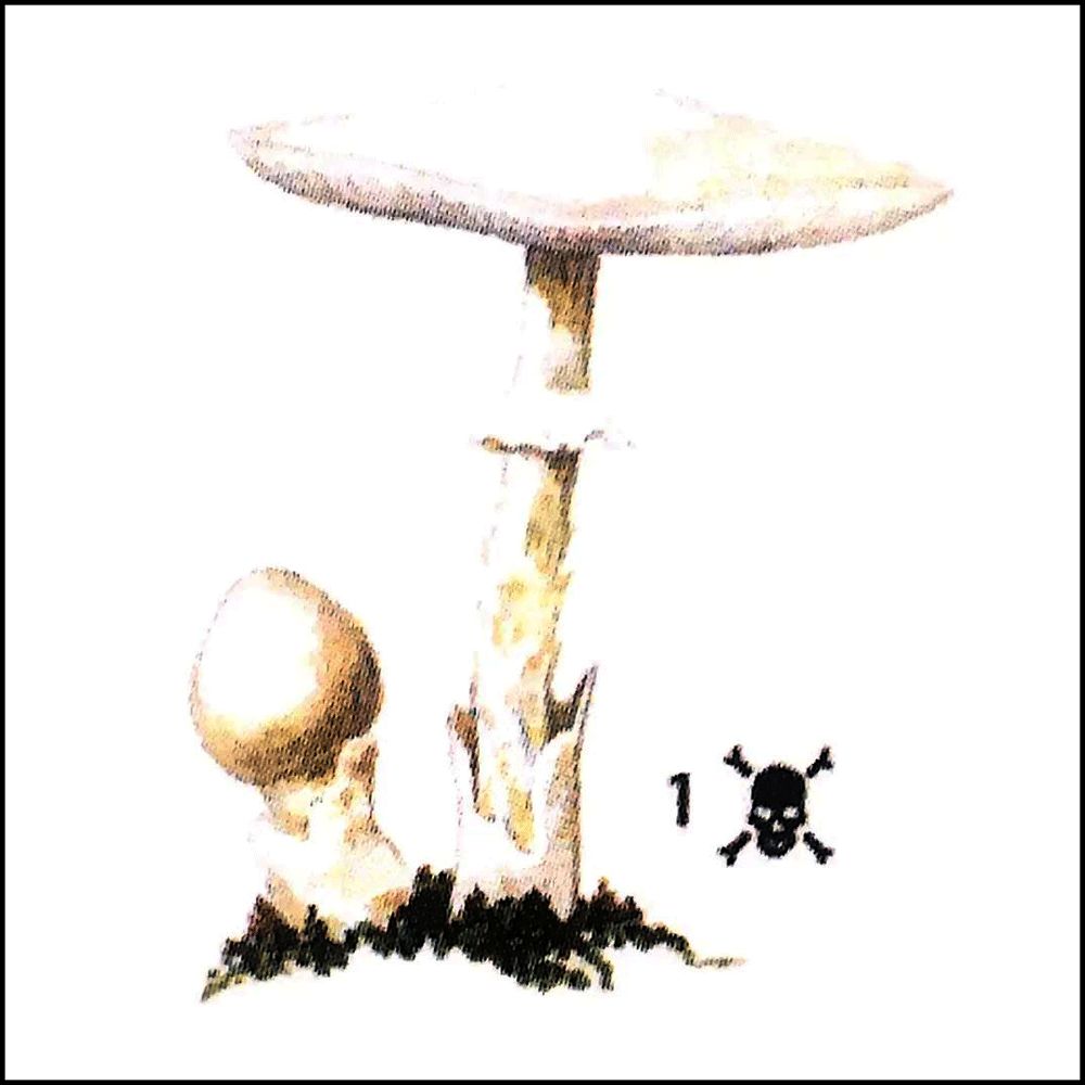 硬核保命指南,豆瓣评分6.7的书该不该看