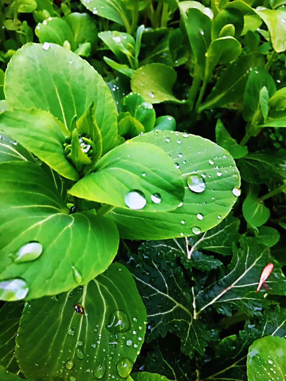 行走在路上的歌曲,行走在路上的真实图片