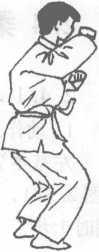 柔道黑带与柔道蓝带区别,柔道基本技
