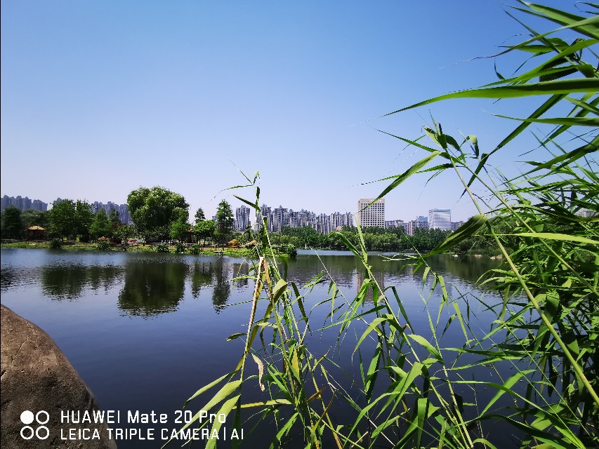 大美滨湖全景图,合肥滨湖塘西河公园美景