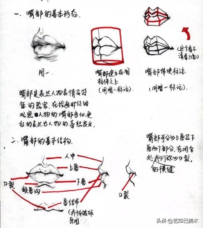速写简单入门头部,速写头低不下去