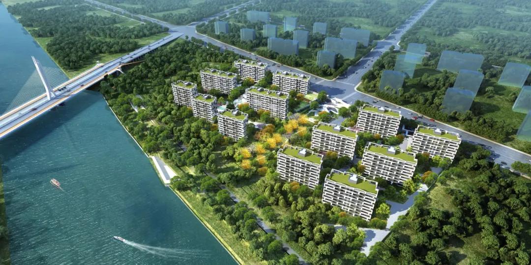 白沙组团面积,白沙组团最新规划