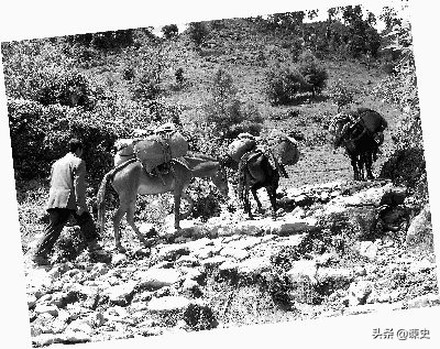 古代茶马互市怎么样,茶马互市起源于宋发展于唐