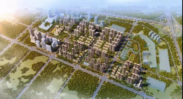 郑州十大坑人学校,郑州市新型骗局曝光