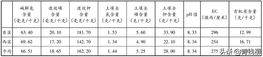 山东智慧农业发展前景,大棚桃树经济效益怎么样