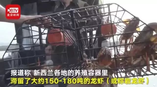 龙虾没人吃、LV没人买……中国人再不出门，各国旅游业都要垮了