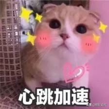 安徽安庆物价,安庆物价