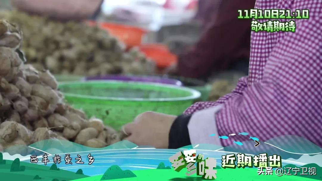 雪天吃东西,雪天吃的食物