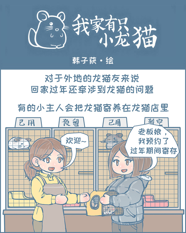龙猫原创画,龙猫漫画作品