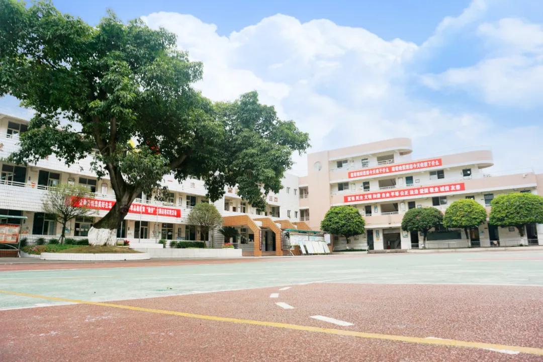 新都泰兴镇新建小学,新都新增小学