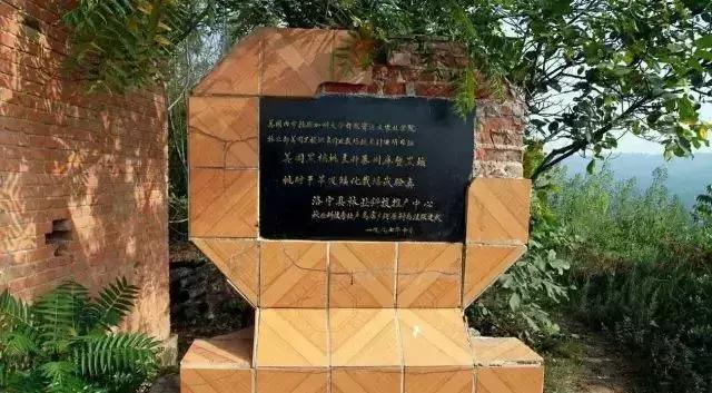 美国黑珍珠战机,美国黑战机