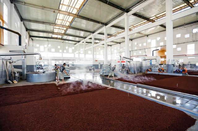 江小白是如何从神坛跌落的,从一夜爆红到无人问津年销30亿