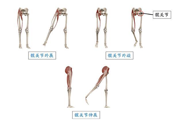 怎么打造蜜桃翘臀,翘臀打造最快的方法