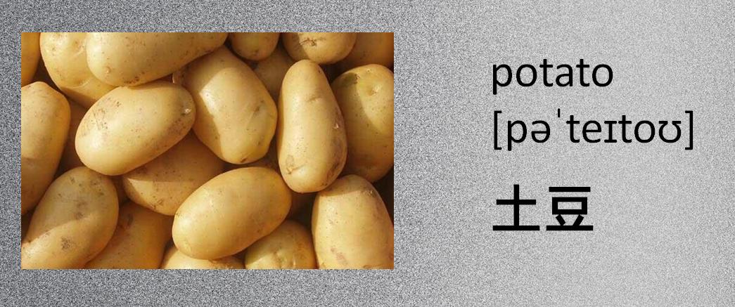 蔬菜的英文单词大全,蔬菜名称英文100个常用的