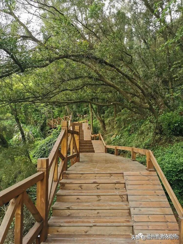 洞头桃源里,温州洞头玖栖海上桃源里