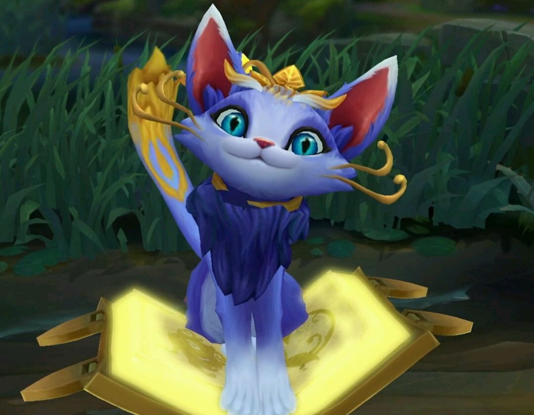 英雄联盟：拳头又开始针对LPL？下路两大核心战术英雄遭到大砍