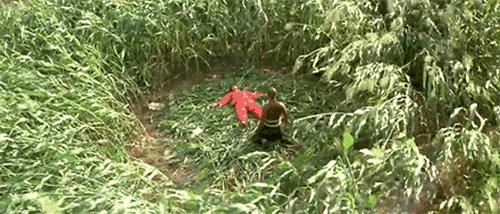 张艺谋的地位有多高,张艺谋的水平