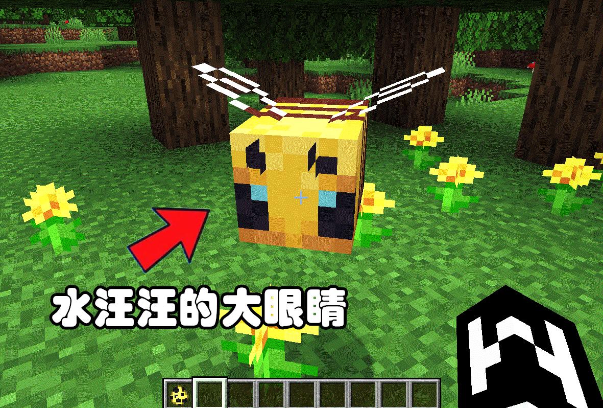 我的世界1.19更新的新宠物,我的世界1.19三个新生物