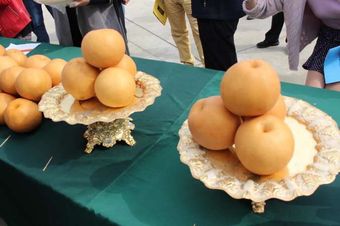 产业扶贫，金果致富——湖北天圆生态发展有限公司