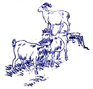 中国传统民间装饰图案及寓意,中国民间传统图案