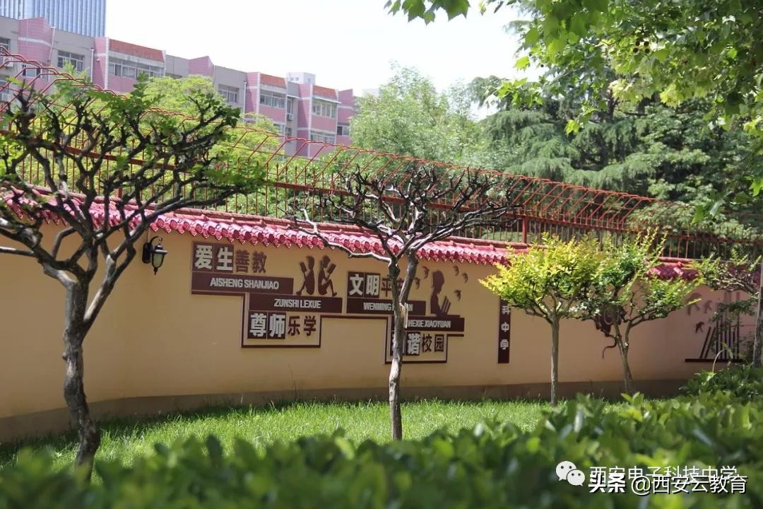 010413选择西科，未来可期西安电子科技中学2020年新高一等你来