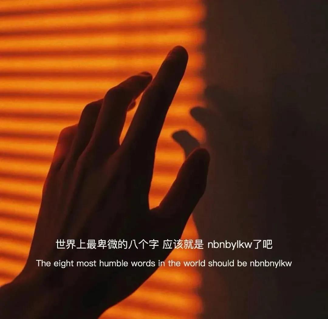 大自然治愈清新的背景图,文艺清新淡雅鲜花背景图